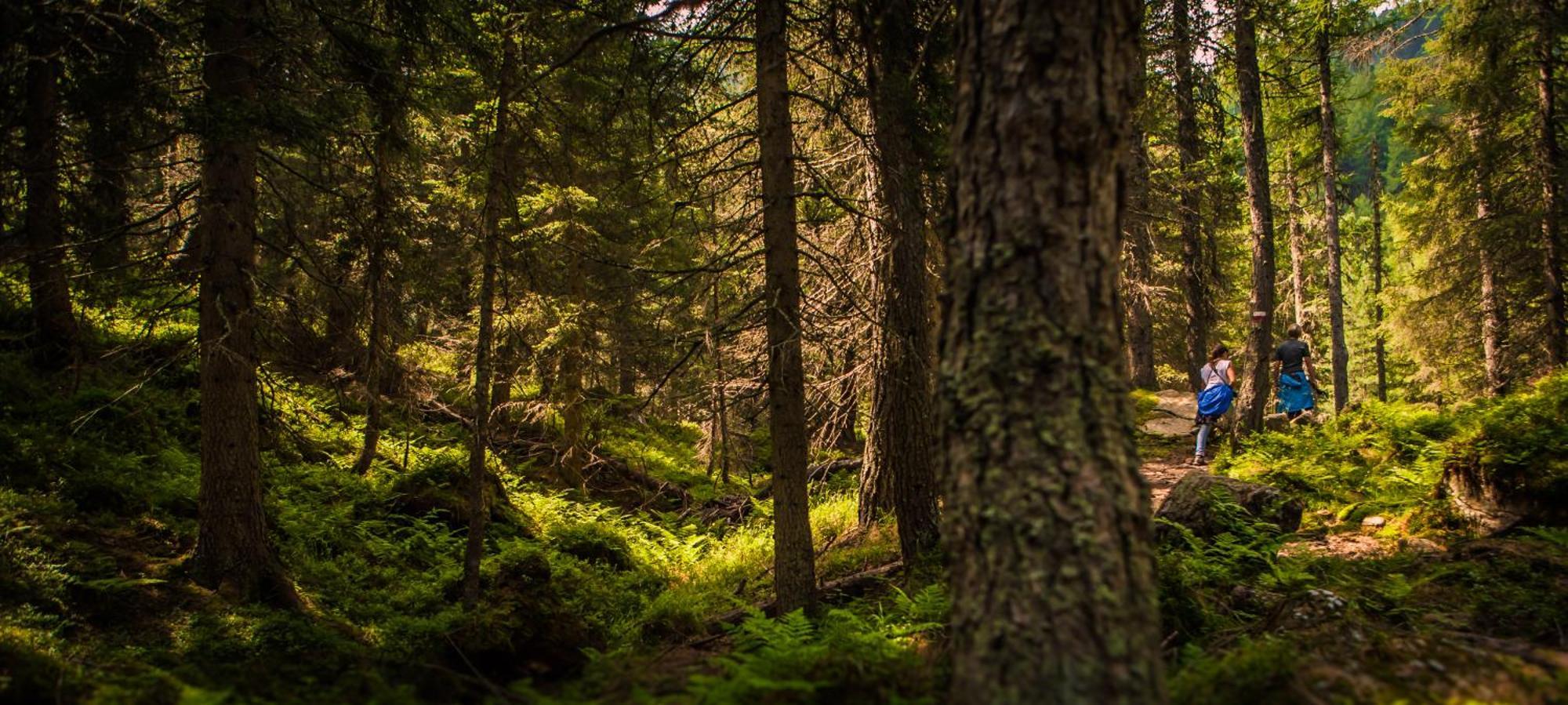 Nature Bio Hotel Elite Levico Terme Eksteriør billede